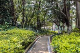 翠海花園|香蜜公園旁，東南向海景中空復式，誠心出售