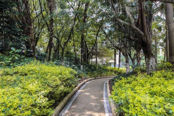 翠海花園|大平面|雙陽臺|東南向看花園|視野景觀好