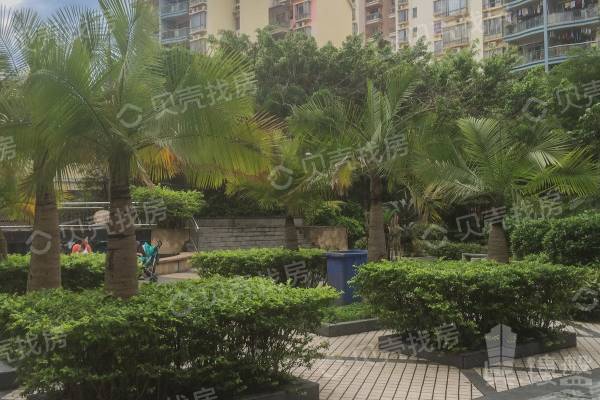 中翠花園|大芬地鐵口住家小區，交通便利，樓下商圈