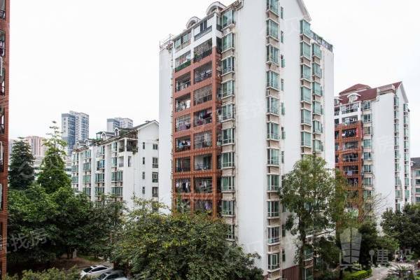 美麗家園|清湖地鐵口物業|龍華大潤發ICO商圈優質大兩房