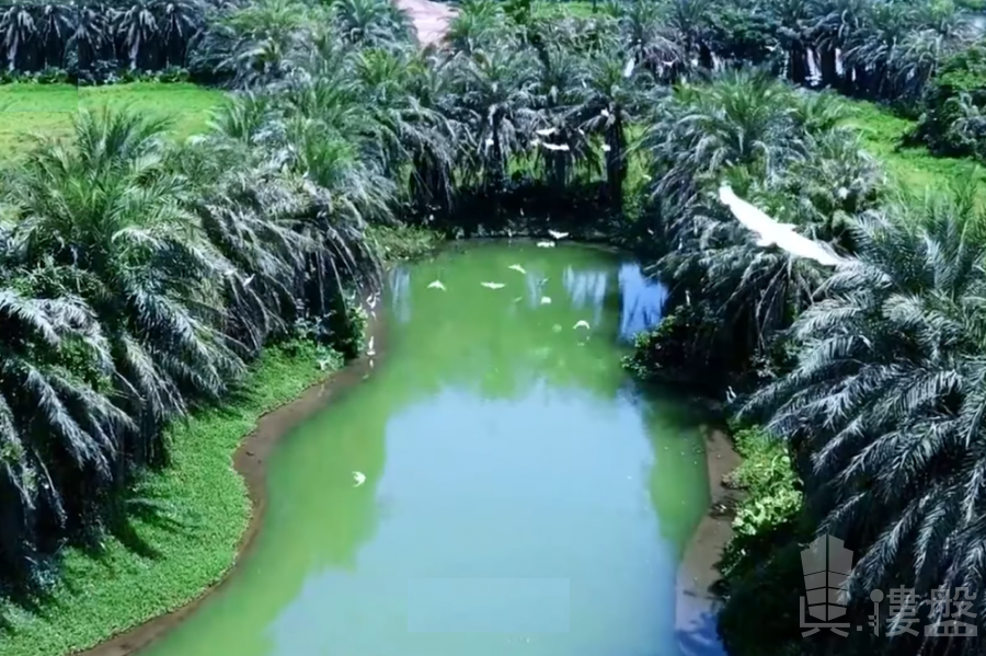 中山雅居樂民森迪茵湖，首期5萬(減)，最新價單，中港專車免費上門接載睇樓
