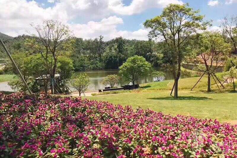 中山華發觀山水別墅，珠海版 半山➕浅水灣別墅，送私家花園，香港銀行按揭，最新價單